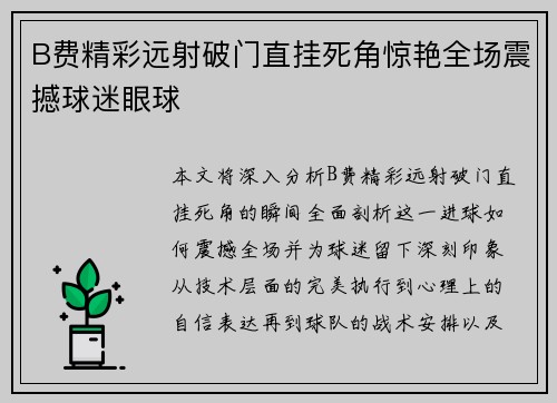 B费精彩远射破门直挂死角惊艳全场震撼球迷眼球