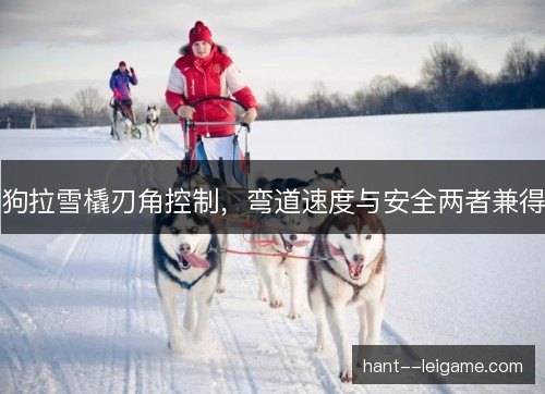 狗拉雪橇刃角控制，弯道速度与安全两者兼得